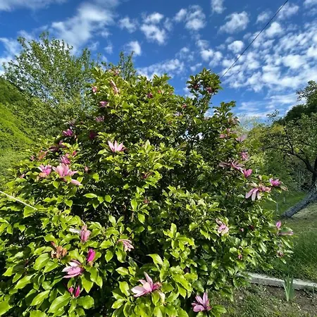 Ferienhaus - еделвайс, гр. Gabrowo