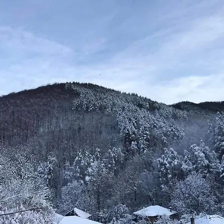 - еделвайс, гр. غابروفو