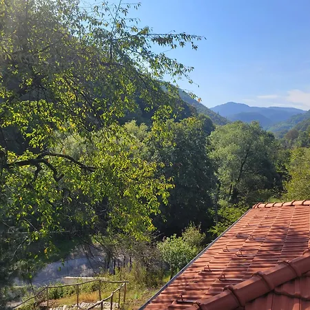 - еделвайс, гр. *