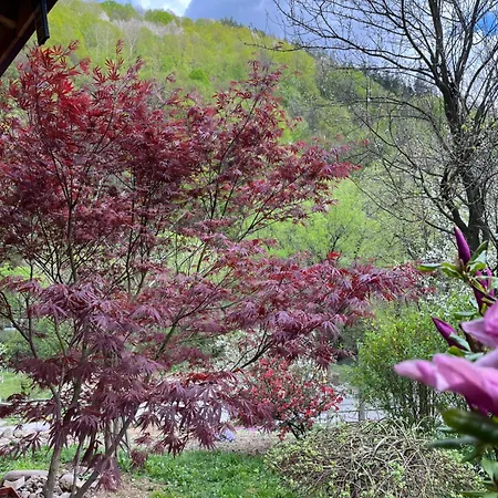 بيت للعطل - еделвайс, гр. غابروفو