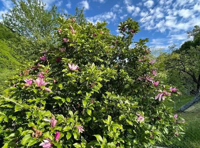 Casa vacanze - еделвайс, гр. Gabrovo