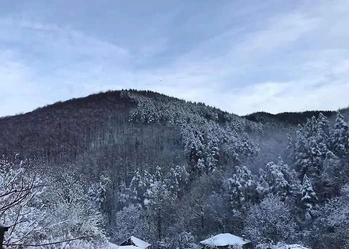 - еделвайс, гр. Gabrovo