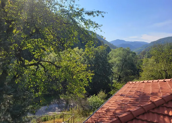 - еделвайс, гр. *