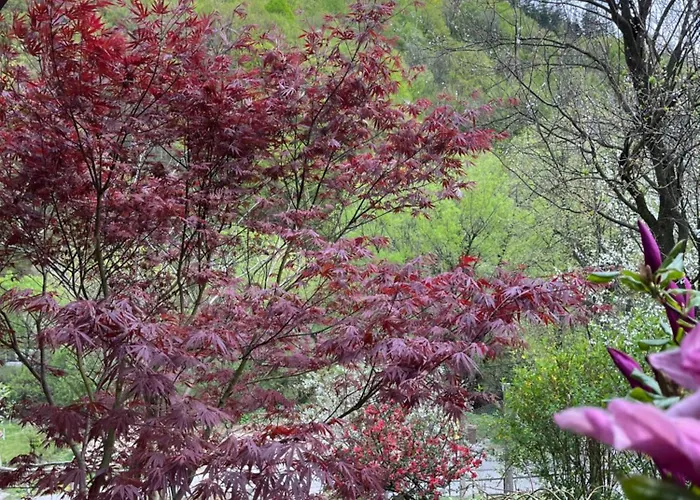 Tatil Evi - еделвайс, гр. Gabrova