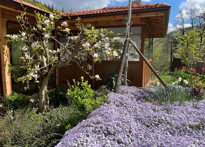 - еделвайс, гр. ガブロヴォ